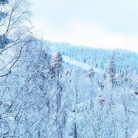 Atelje * Tahkovuori